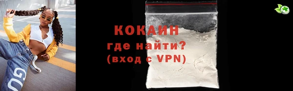 твердый Аркадак