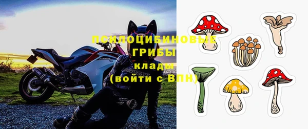 прущая мука Арсеньев