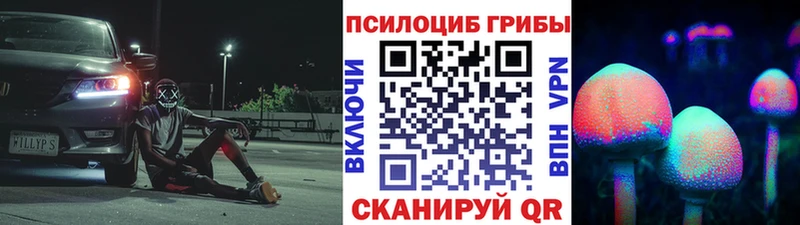 Галлюциногенные грибы Psilocybine cubensis  Ярцево 
